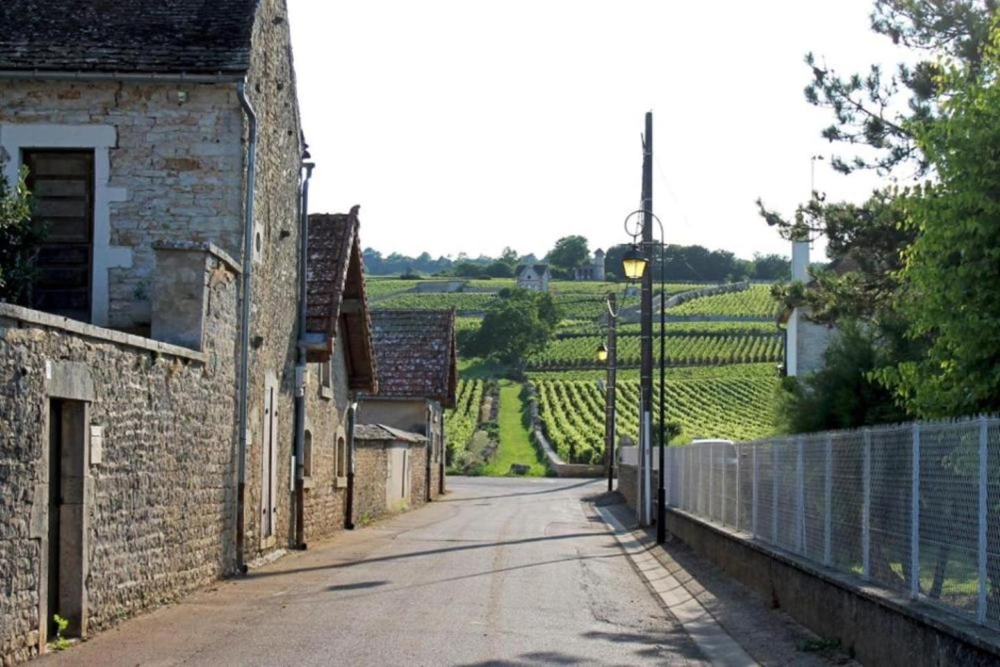 Le Lagon Bleu - Centre Ville - Maison Boucicaut - By Primo C0Nciergerie Chalon-sur-Saône Buitenkant foto